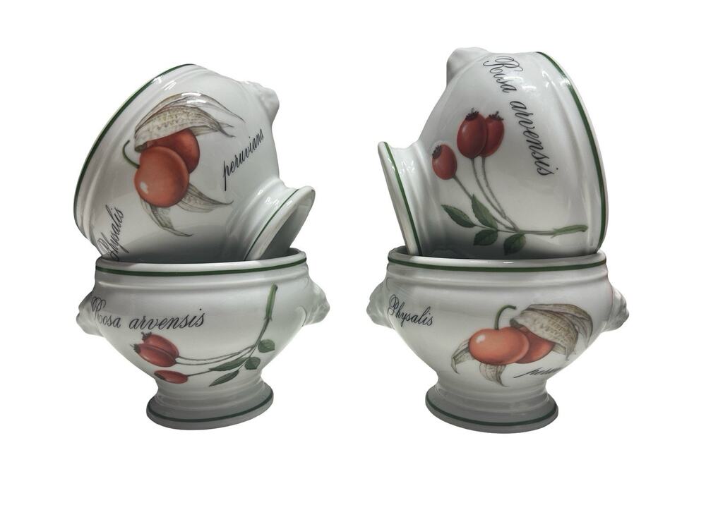 Apilco Porcelain Elysian Garden Cream Soup Bowl 4.25" Lion Head 4 Set France
